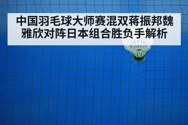 badminton net shot